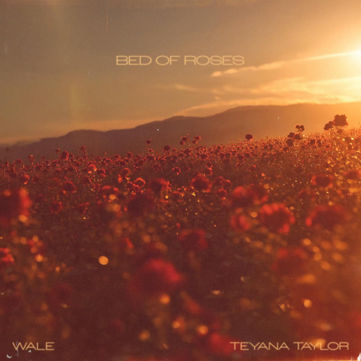 Teyana Taylor Ft. Wale - Bed of Roses 