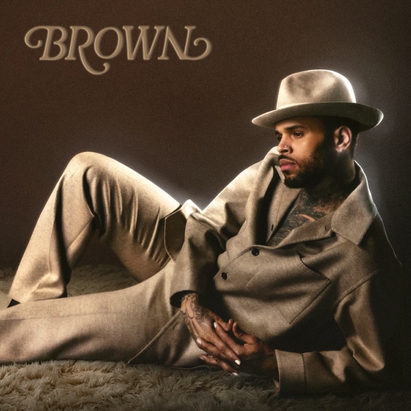 Album art for Chris Brown - Skin To Skin